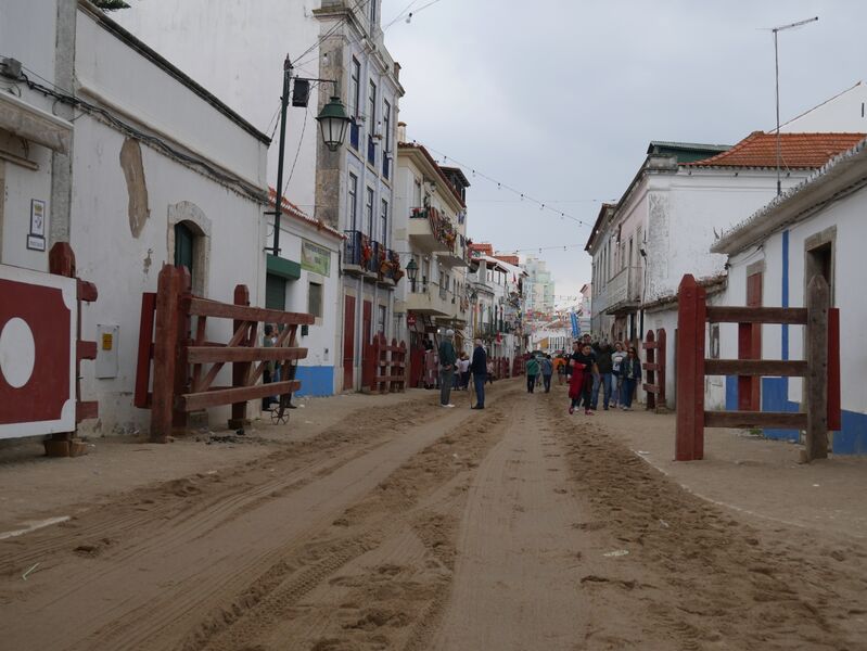 Ficheiro:F000993 FeiraMaio Azambuja 26-05-2018.JPG