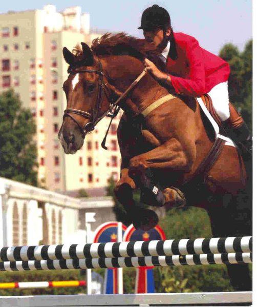 Ficheiro:Manuel Lupi F4.jpg