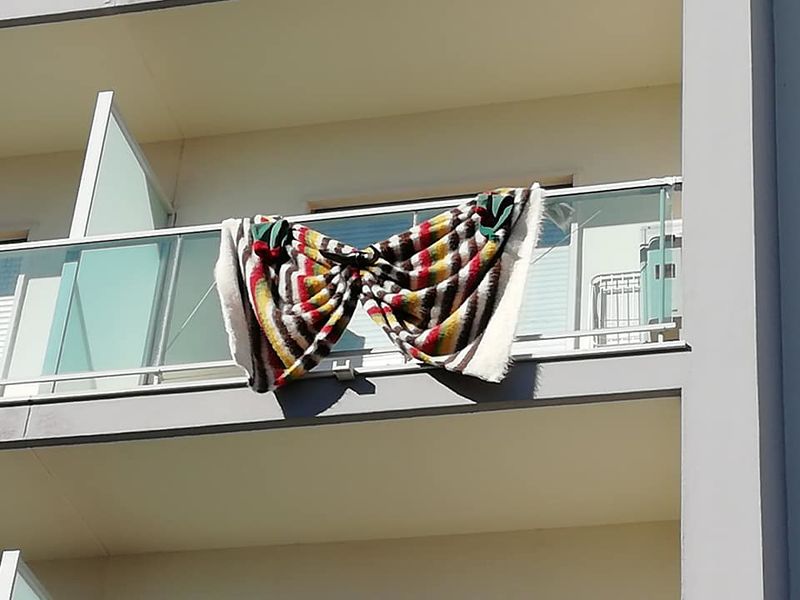 Ficheiro:CT Alcochete F19.jpg