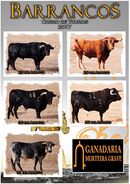 Barrancos CurroTouros 2017.jpg