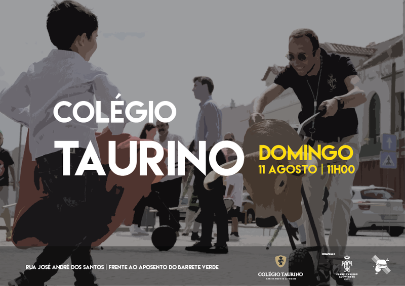 Ficheiro:CT Alcochete G4.png