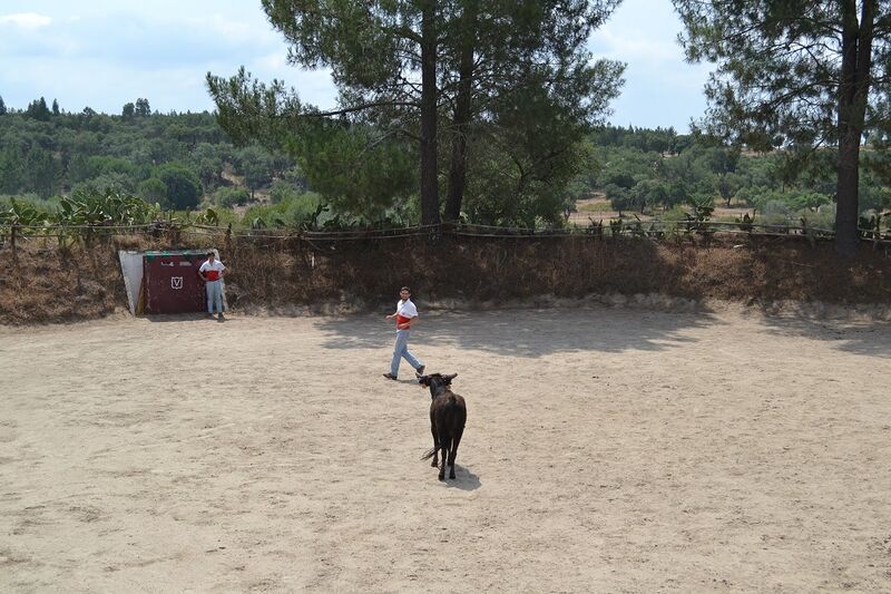 Ficheiro:Ganadaria Manuel Veiga F18.JPG