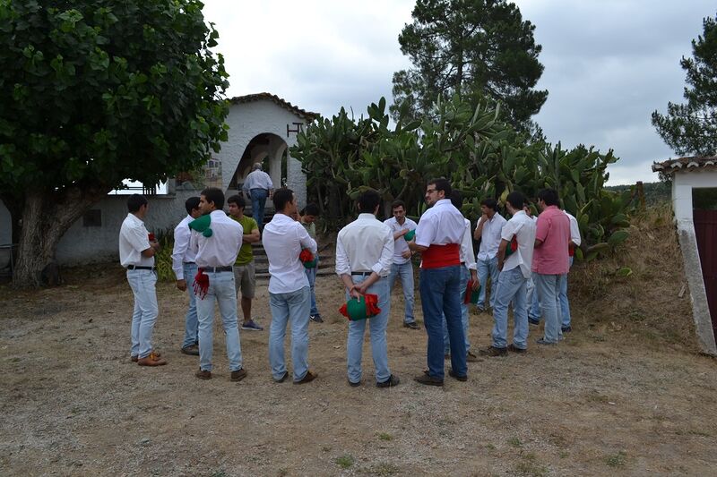 Ficheiro:Ganadaria Manuel Veiga F3.JPG