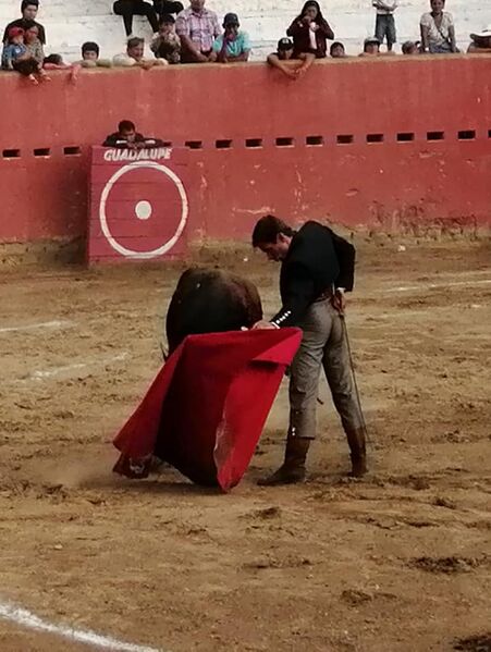 Ficheiro:Nuno Casquinha F4.jpg