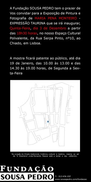 Ficheiro:Exp MariaPMonteiro 2009(2).jpg