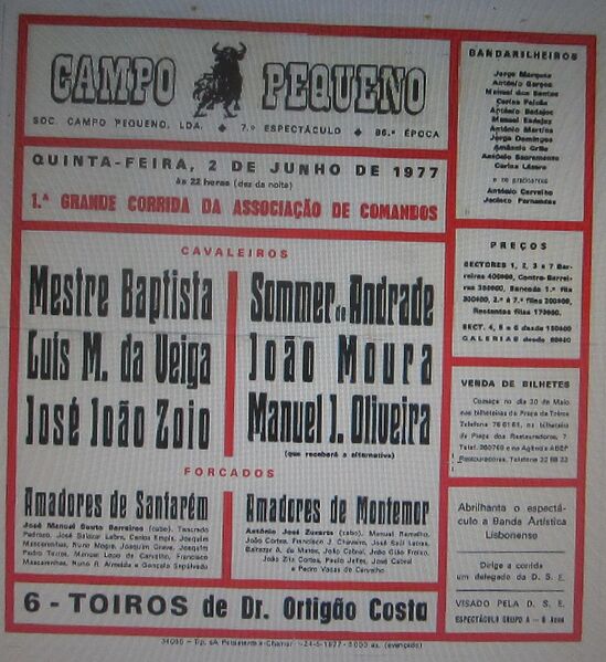 Ficheiro:IMG 2219.JPG