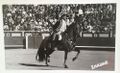 David Ribeiro Telles F45.jpg