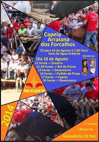 Ficheiro:Forcalhos Capeia 2014.jpg