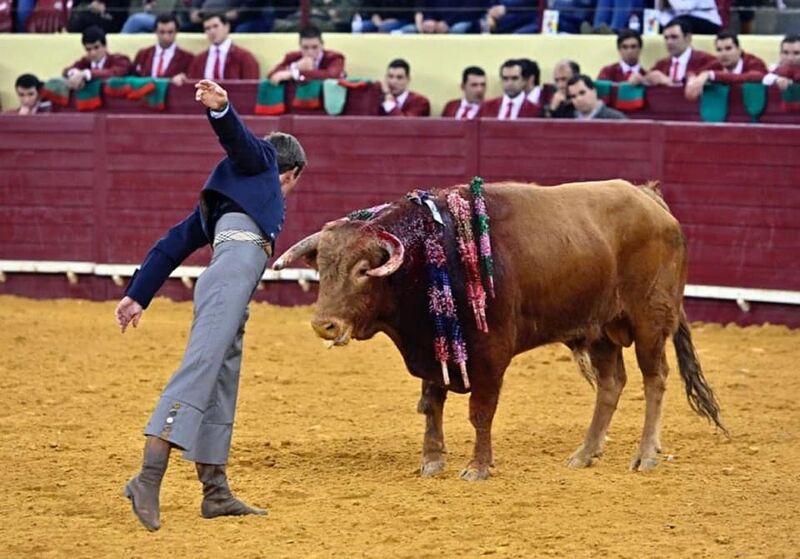 Ficheiro:Nuno Casquinha F8.jpg