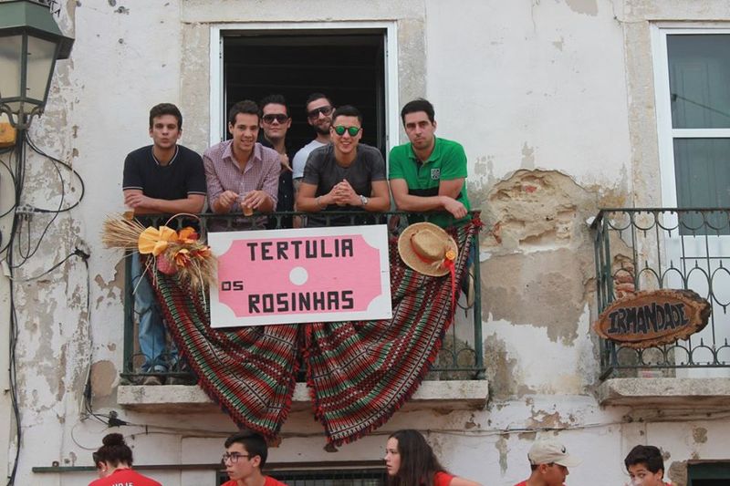 Ficheiro:Rosinhas F9.jpg