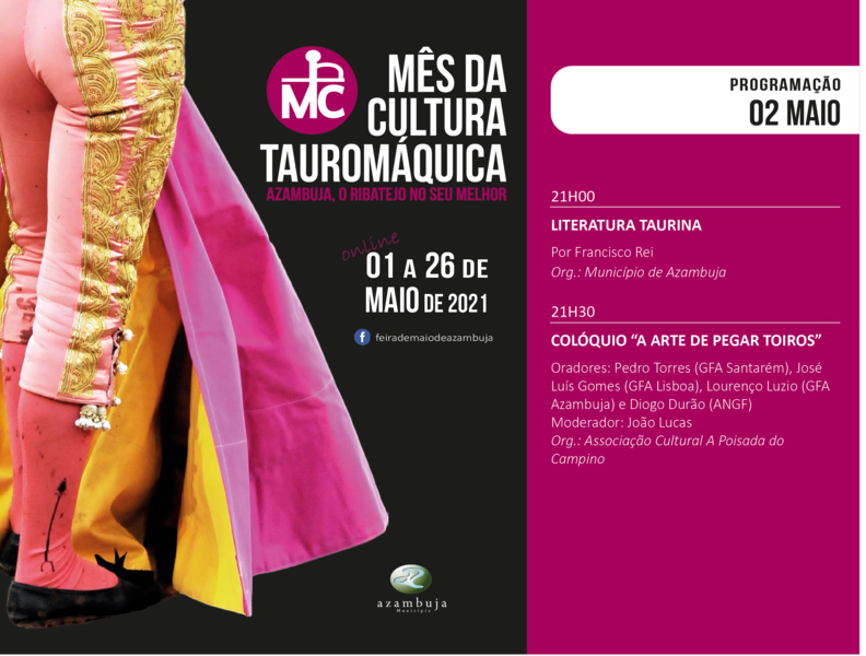 Ficheiro:MCT Azambuja Coloquio-Literatura 02-05-2021.png