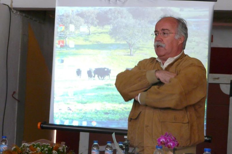 Ficheiro:Scalabatina F10.jpg