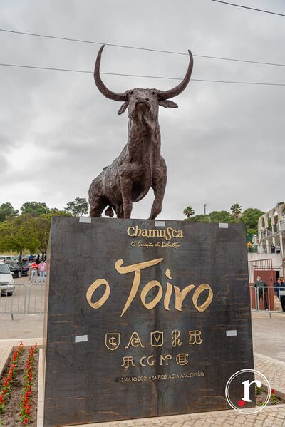 Ficheiro:Escultura O-Toiro CM Chamusca.jpg