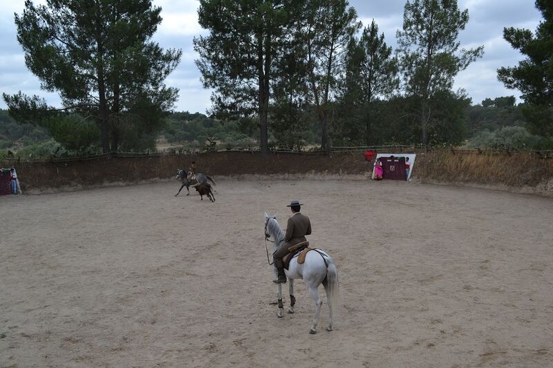 Ficheiro:Ganadaria Manuel Veiga F29.JPG