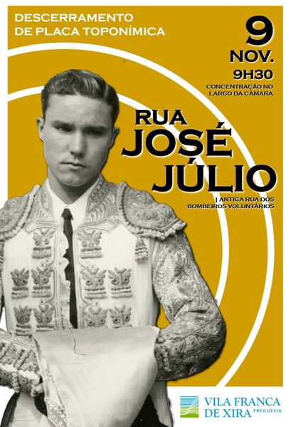 Ficheiro:Cartaz 0813.jpg