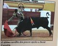 David Ferreira G3.jpeg