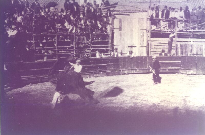 Ficheiro:FOTO-1799 CDABF.jpg