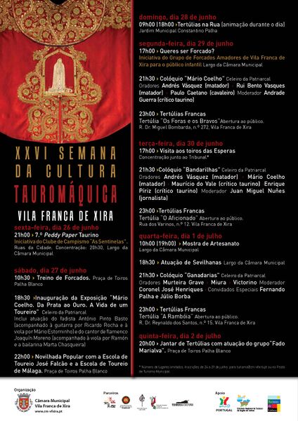 Ficheiro:Programa SCT VFX 2015.jpg