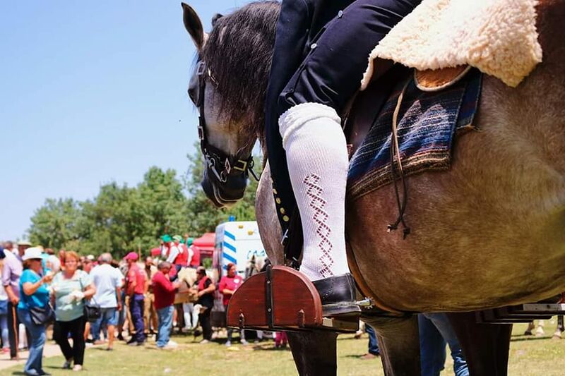Ficheiro:Teresa Santos F37.jpg
