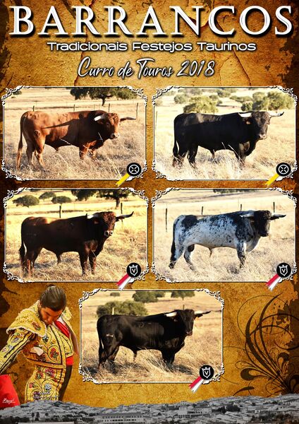 Ficheiro:Barrancos CurroTouros 2018.jpg