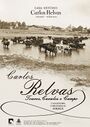 CRelvaas15 Touros cavalos1.jpg