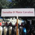 Mata Cavalos F1.jpg