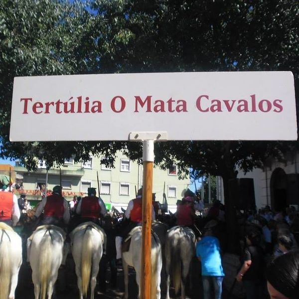 Ficheiro:Mata Cavalos F1.jpg