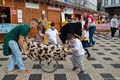 TT Terceirense F17.jpg