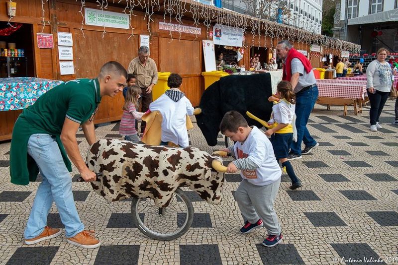 Ficheiro:TT Terceirense F17.jpg