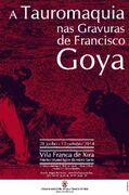 Exp TGoya VFX 2014.jpg