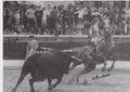 Mestre Baptista F2.jpg
