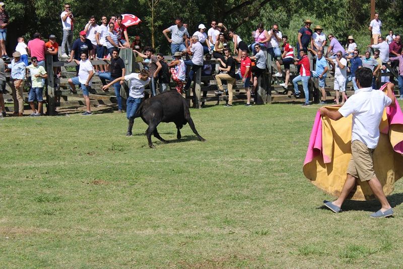 Ficheiro:ABFB F9.jpg