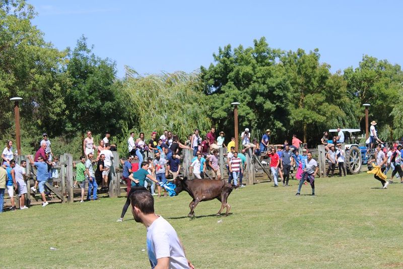 Ficheiro:ABFB F5.jpg