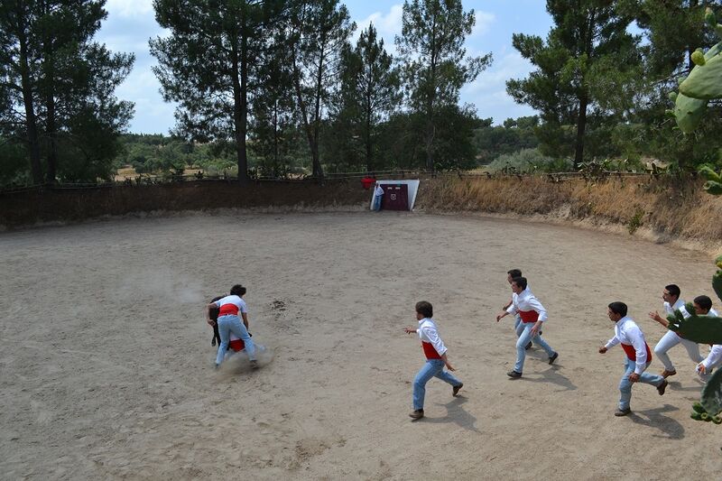 Ficheiro:Ganadaria Manuel Veiga F22.JPG