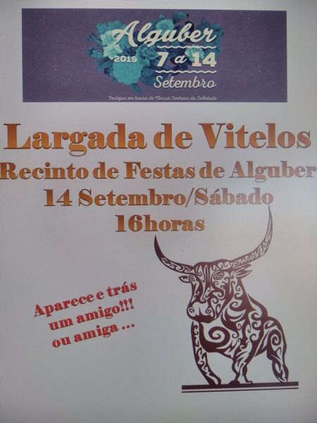 Ficheiro:LargadaVitelos Alguber Cadaval 2019.jpg