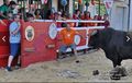 Franquinhos F9.jpg