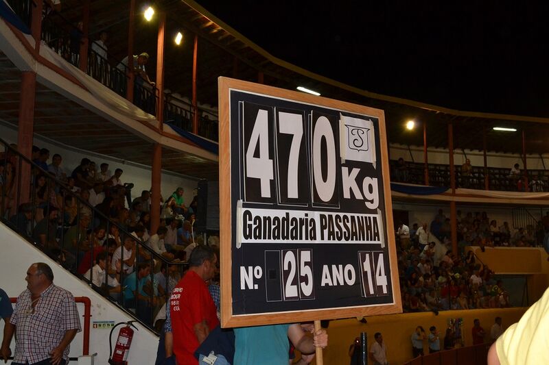 Ficheiro:Chamusca F8.JPG