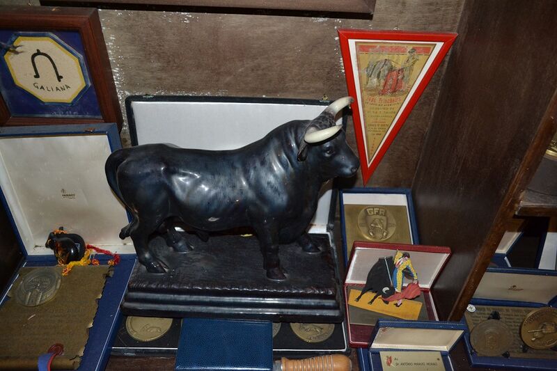 Ficheiro:San Fermin F8.JPG