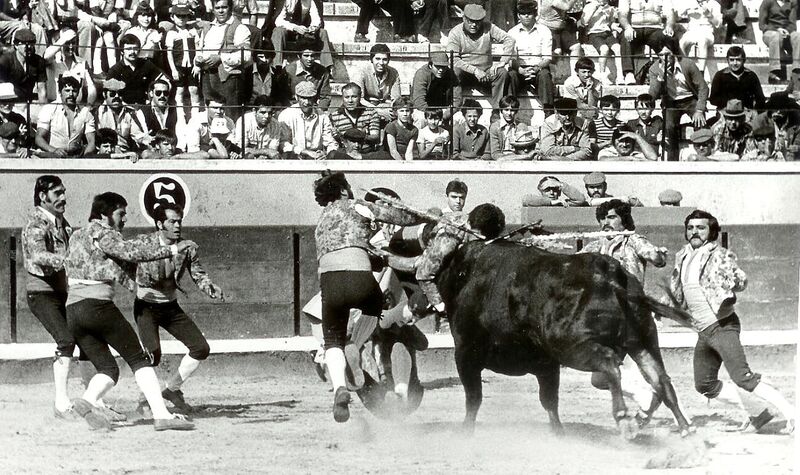 Ficheiro:GFA Moita F3.jpg