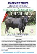 Exp HCDias Chamusca 2016.jpg