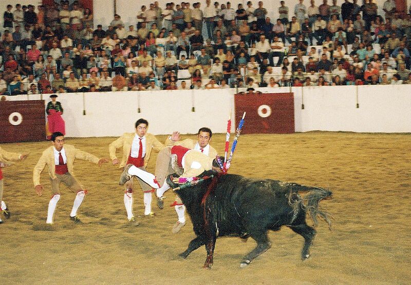 Ficheiro:GFA Arronches F34.jpg