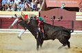 Francisco Potier Dias F20.jpg