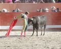 Nuno Casquinha F15.jpg