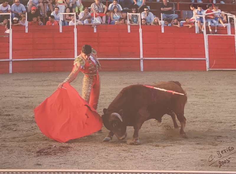 Ficheiro:David Ferreira F15.png
