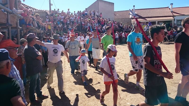 Ficheiro:CapeiaLageosaRaia 2015 DSC 0436.JPG