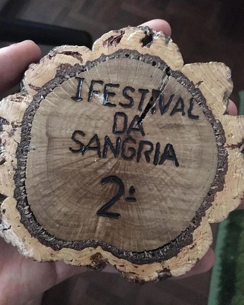 Ficheiro:Bagunceiros F8.jpg
