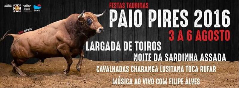 Ficheiro:FT PaioPires 2016.jpg