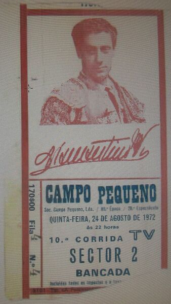 Ficheiro:IMG 2223.JPG