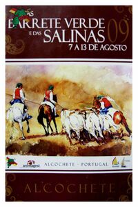 FestasBarreteVerde 2009.jpg