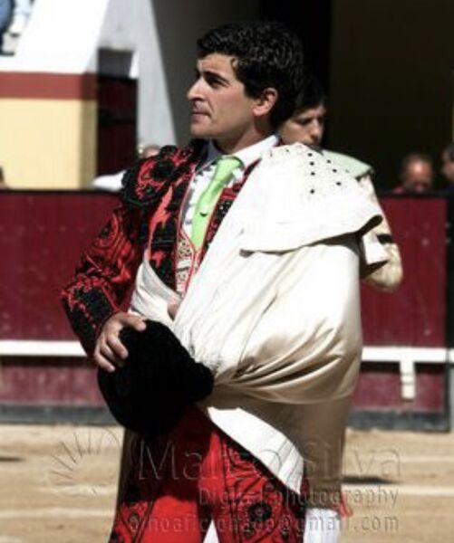 Ficheiro:David Ferreira F25.jpeg